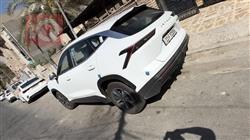 جيتور داشينج